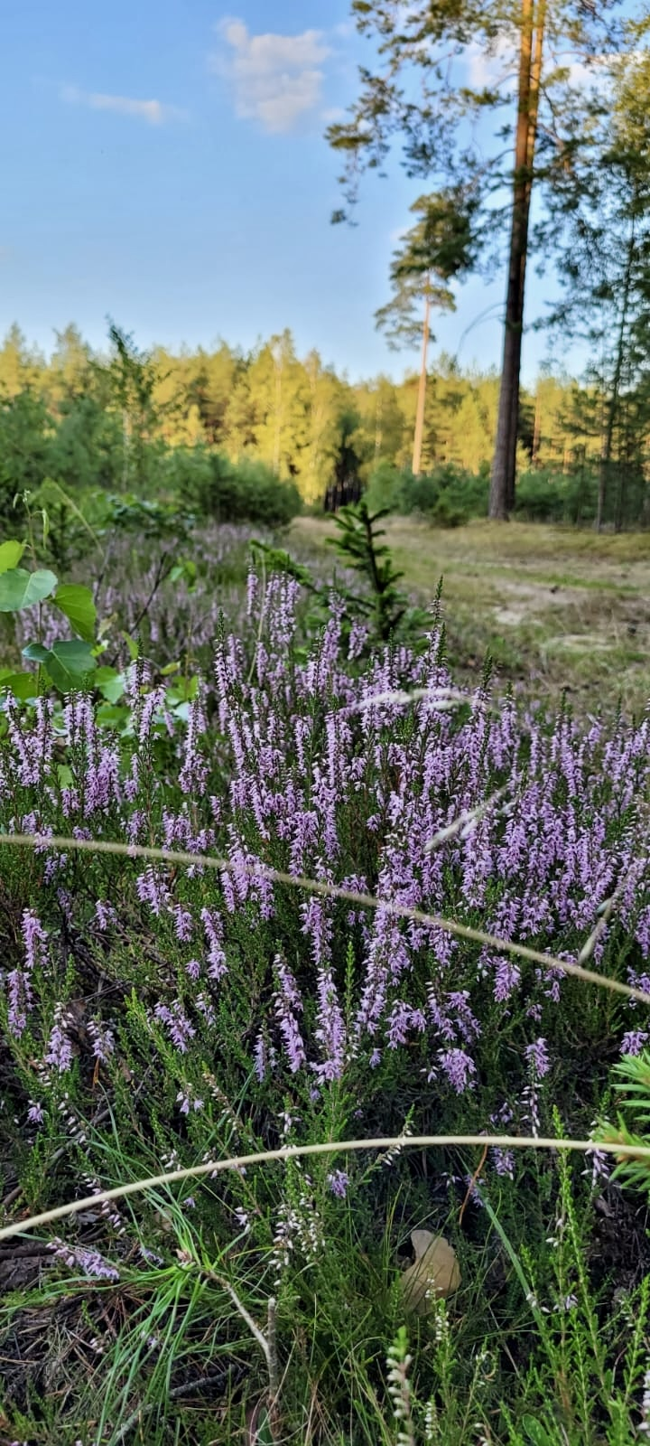 Prywatne Weekend Całoroczny Pasym - zdjęcie 2